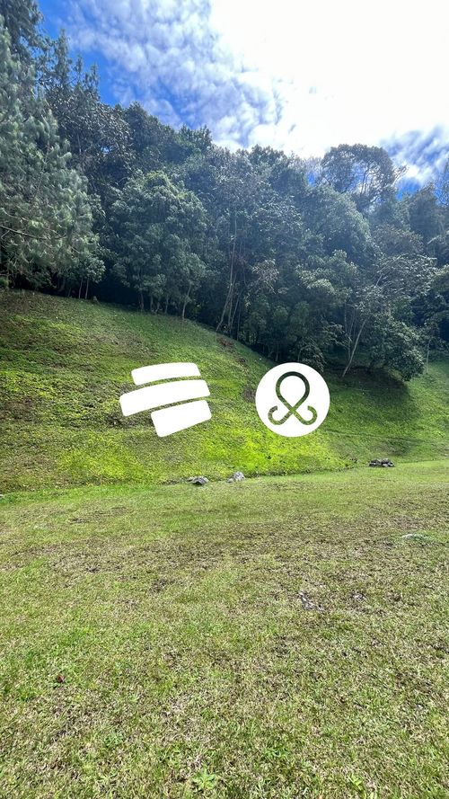 Lote en venta en Vía Las Palmas, Envigado, 4700 m² · foto 11 de 12