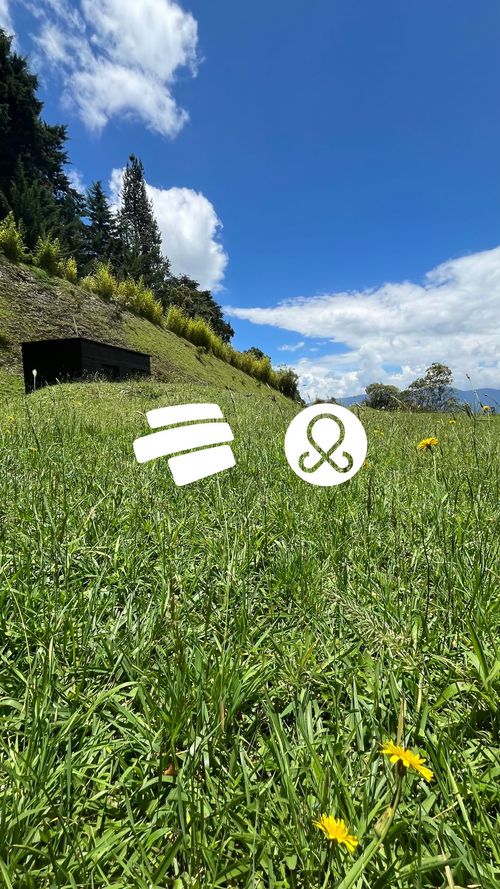 Lote en venta en Vía Las Palmas, Envigado, 3770 m² · foto 2 de 13