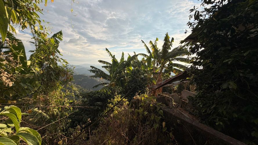 Lote en venta en El Arenillo, Manizales · foto 7 de 23