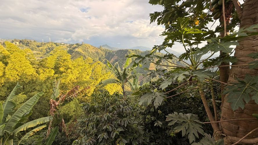 Lote en venta en El Arenillo, Manizales · foto 9 de 23