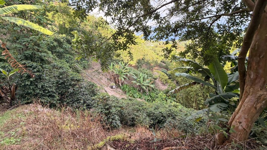 Lote en venta en El Arenillo, Manizales · foto 17 de 23