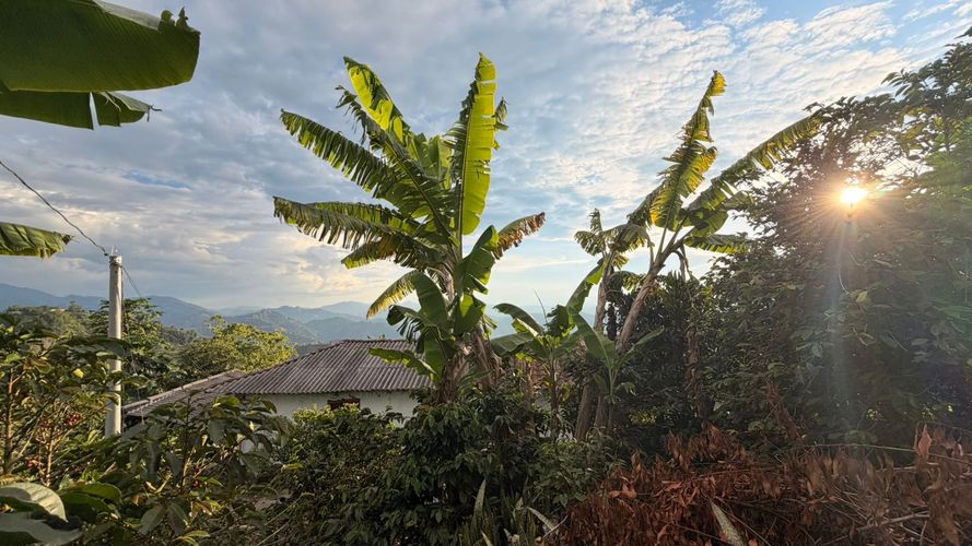 Lote en venta en El Arenillo, Manizales · foto 18 de 23