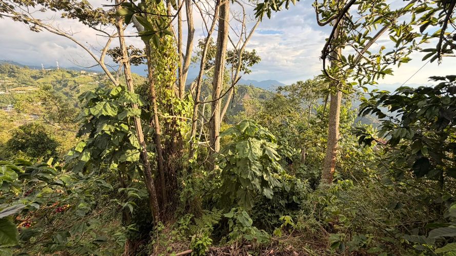 Lote en venta en El Arenillo, Manizales · foto 19 de 23