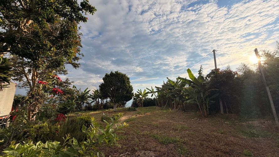 Lote en venta en El Arenillo, Manizales · foto 21 de 23