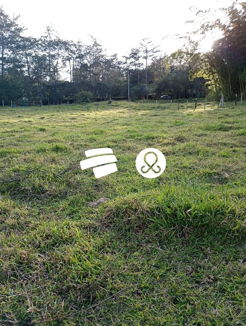 Casa en venta en El Capiro, Rionegro · foto 5 de 13