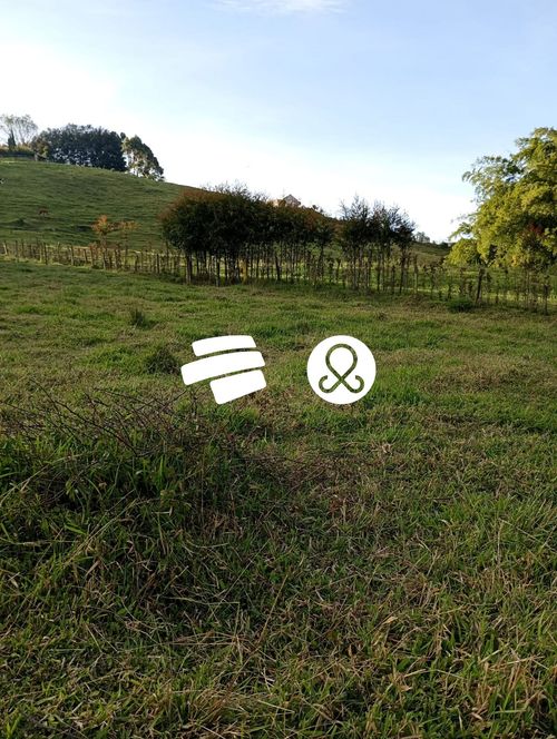 Casa en venta en El Capiro, Rionegro · foto 8 de 13