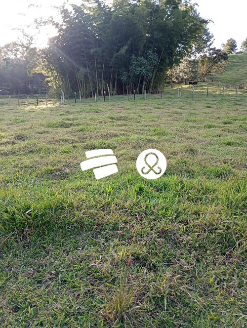 Casa en venta en El Capiro, Rionegro · foto 9 de 13