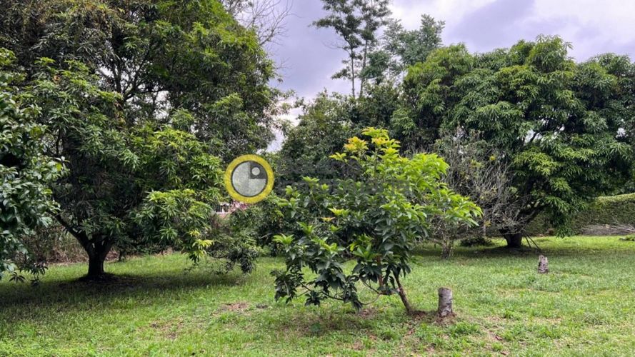 Lote en venta en Terrazas De Menzuli, Floridablanca, 3000 m² · foto 5 de 16