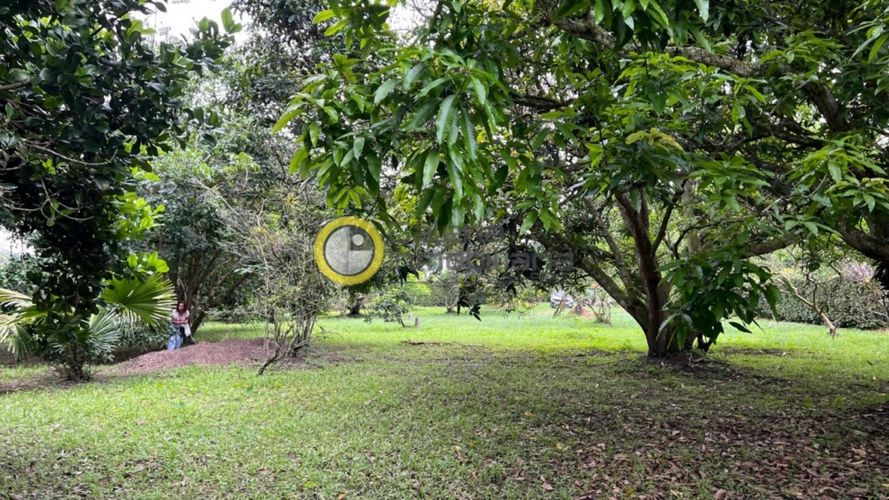 Lote en venta en Terrazas De Menzuli, Floridablanca, 3000 m² · foto 7 de 16