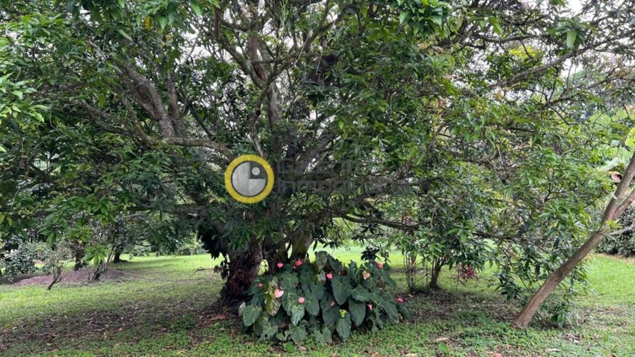 Lote en venta en Terrazas De Menzuli, Floridablanca, 3000 m² · foto 8 de 16