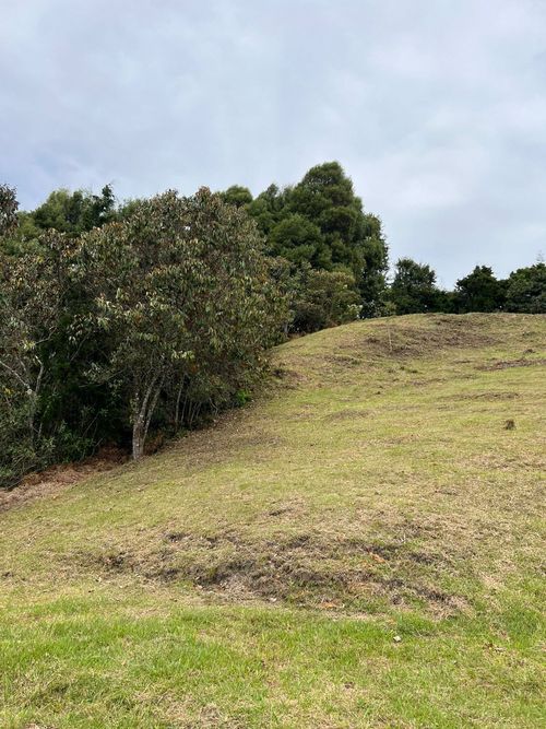 Lote en venta en Guarne · foto 8 de 12