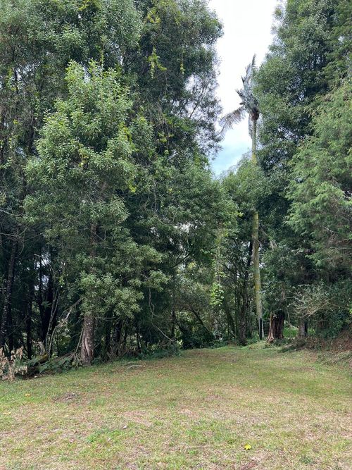 Lote en venta en Guarne · foto 3 de 12