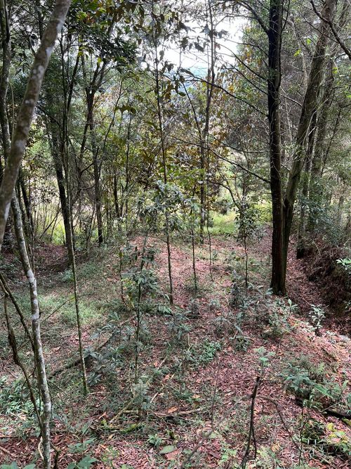 Lote en venta en Guarne · foto 12 de 12