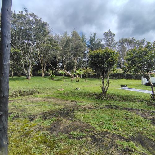 Bodega en arriendo en Quirama, El Carmen de Viboral, 65 m² · foto 14 de 16