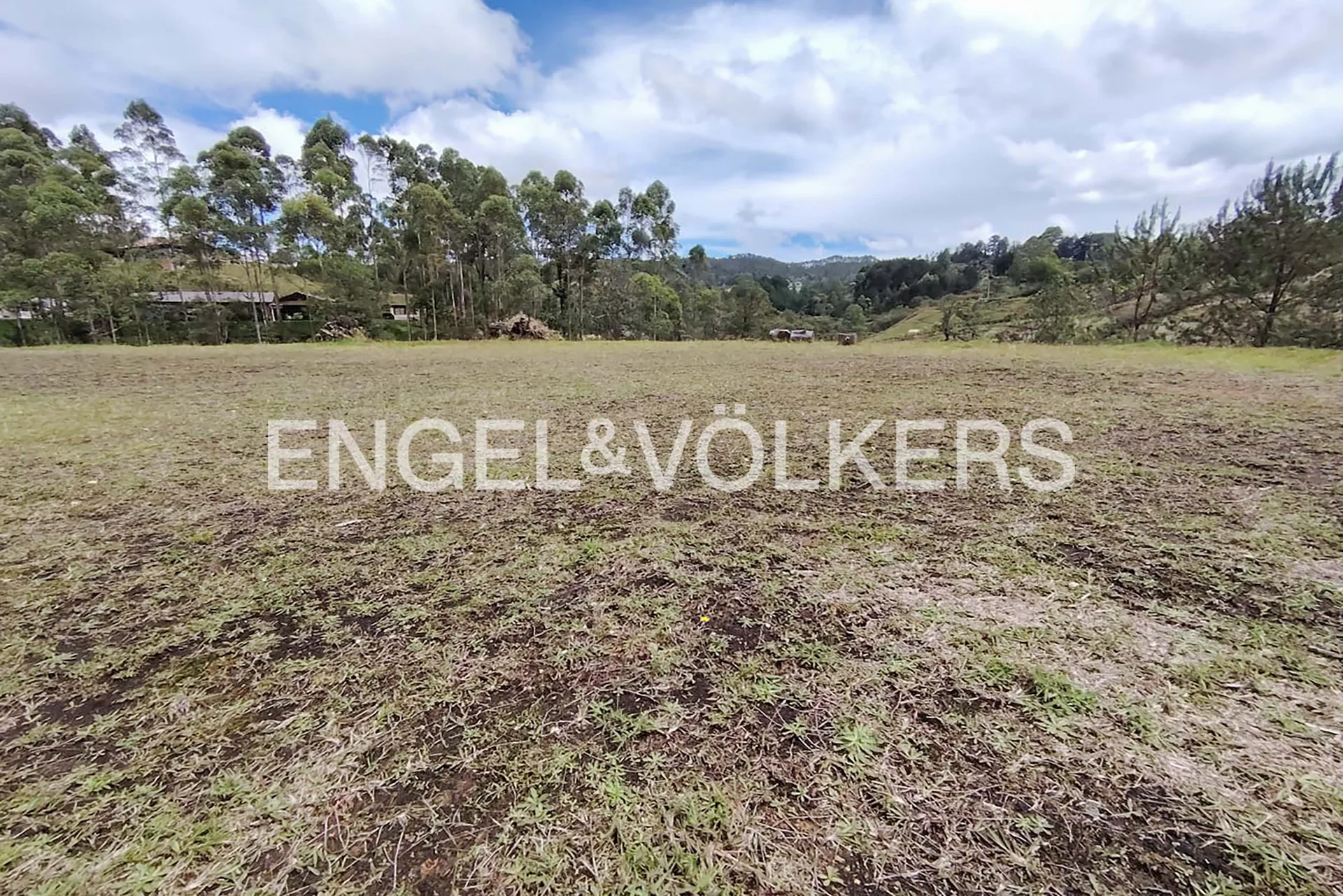 Land in Don diego for Sale - 4