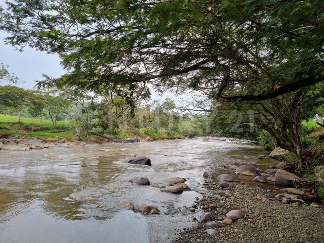 Finca en venta en San Antonio, Jamundí, 310 m² · foto 23 de 24