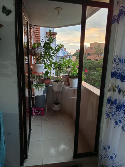 Apartamento de 3 alcobas en venta en La Aurora, Bucaramanga, 94 m² · foto 12 de 14
