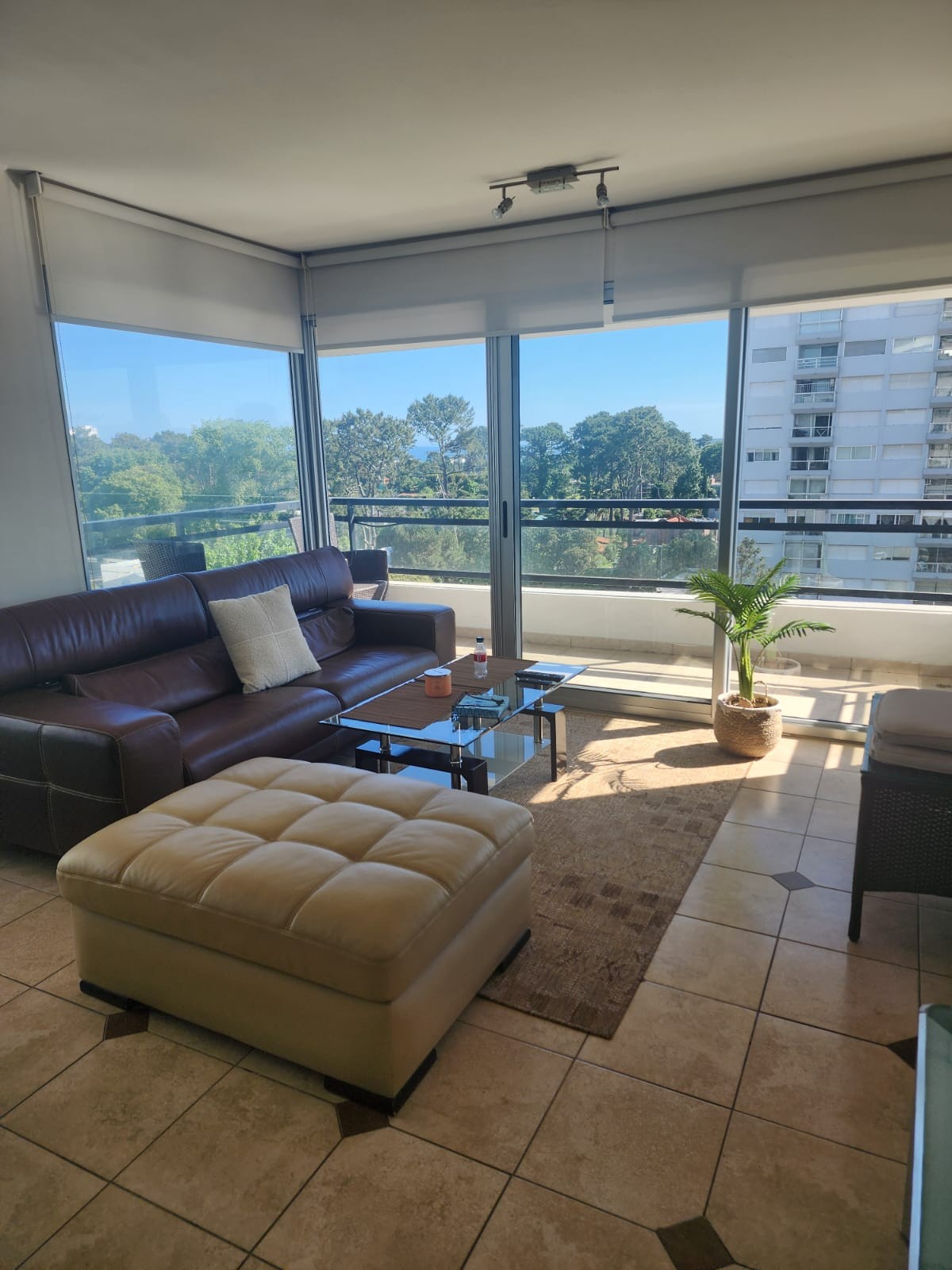 Alquiler Anual – Apartamento en Jardines - Vista 4