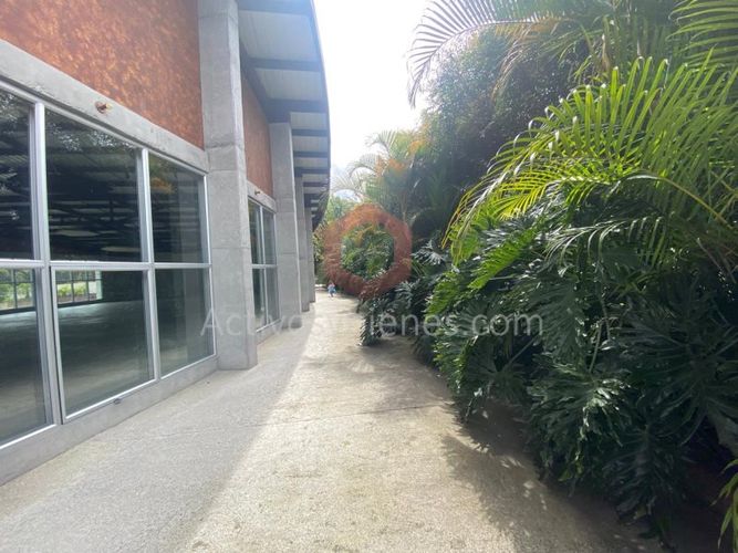 Local en arriendo en El Tablazo, Rionegro · foto 3 de 15