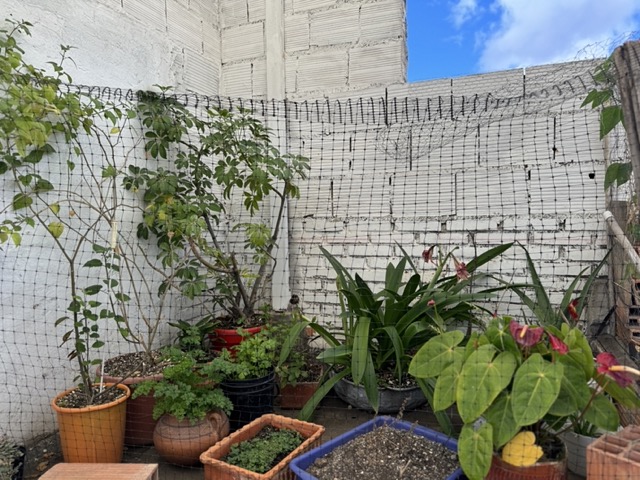 Casa en venta en Venecia, Bogotá · foto 14 de 14