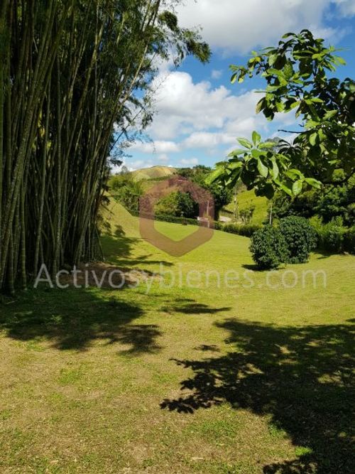 Lote en venta en Centro, Rionegro, 4000 m² · foto 13 de 14