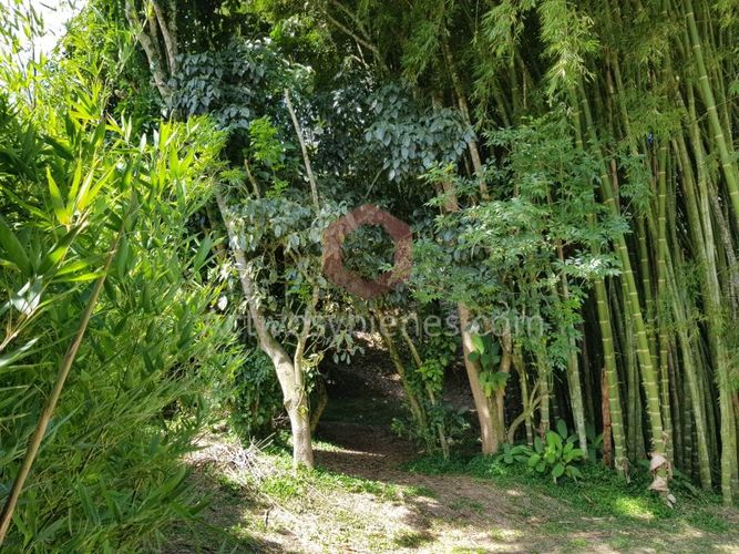 Lote en venta en Centro, Rionegro, 4000 m² · foto 14 de 14