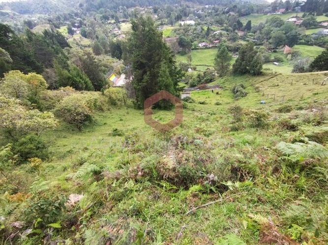 Lote en venta en La Clara, Guarne, 5000 m² · foto 3 de 24