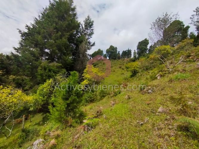 Lote en venta en La Clara, Guarne, 5000 m² · foto 6 de 24