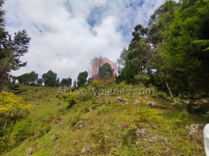 Lote en venta en La Clara, Guarne, 5000 m² · foto 7 de 24