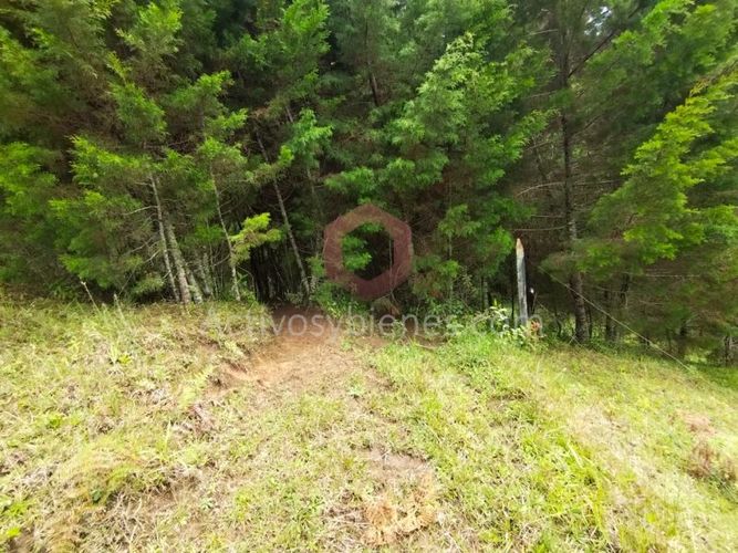 Lote en venta en La Clara, Guarne, 5000 m² · foto 8 de 24