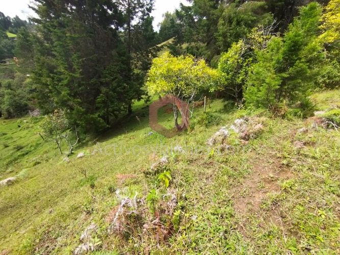 Lote en venta en La Clara, Guarne, 5000 m² · foto 9 de 24