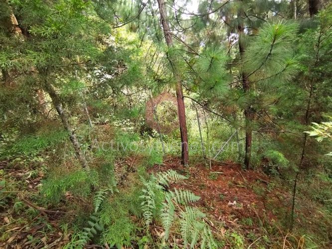 Lote en venta en La Clara, Guarne, 5000 m² · foto 12 de 24