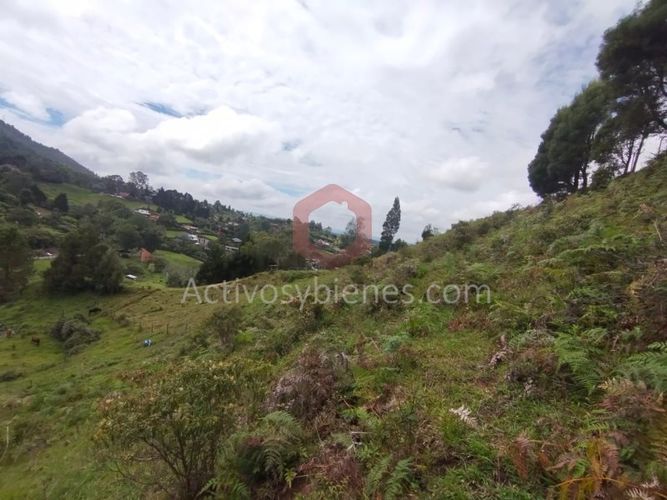 Lote en venta en La Clara, Guarne, 5000 m² · foto 14 de 24