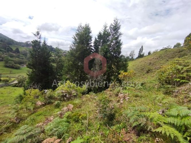Lote en venta en La Clara, Guarne, 5000 m² · foto 16 de 24