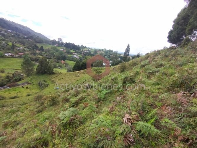 Lote en venta en La Clara, Guarne, 5000 m² · foto 18 de 24