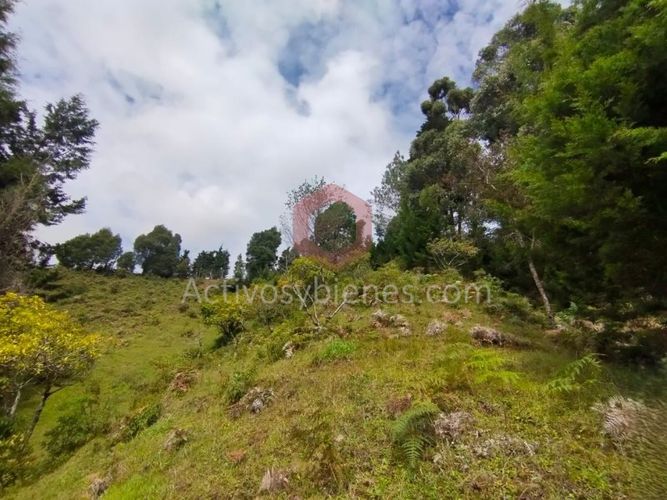 Lote en venta en La Clara, Guarne, 5000 m² · foto 19 de 24