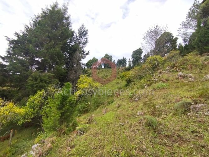 Lote en venta en La Clara, Guarne, 5000 m² · foto 20 de 24