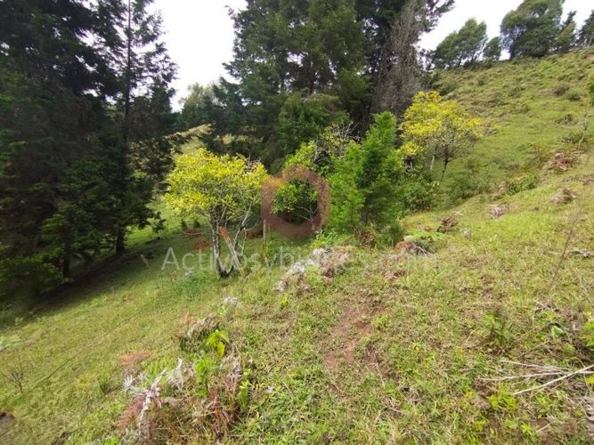 Lote en venta en La Clara, Guarne, 5000 m² · foto 21 de 24