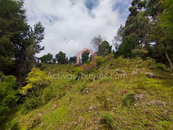 Lote en venta en La Clara, Guarne, 5000 m² · foto 22 de 24