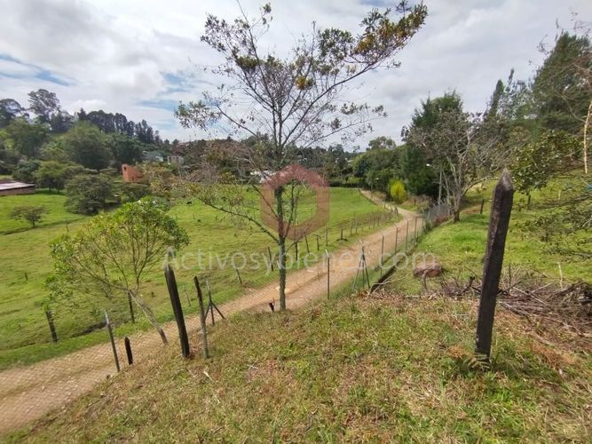 Lote en venta en La Clara, Guarne, 5000 m² · foto 2 de 24