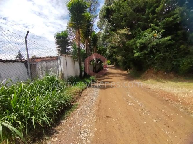 Lote en venta en La Clara, Guarne, 5000 m² · foto 3 de 24