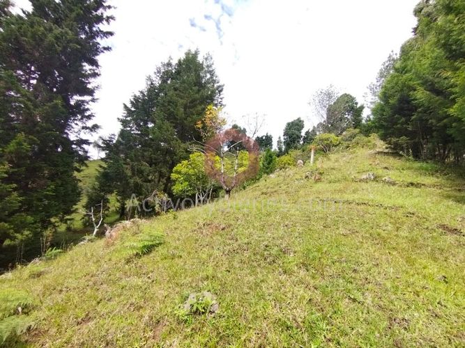 Lote en venta en La Clara, Guarne, 5000 m² · foto 4 de 24