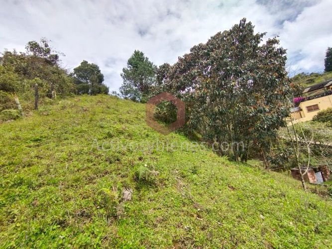 Lote en venta en La Clara, Guarne, 5000 m² · foto 6 de 24