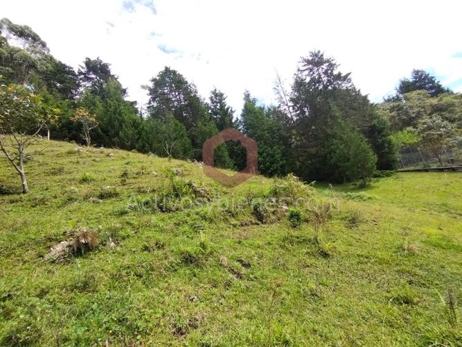 Lote en venta en La Clara, Guarne, 5000 m² · foto 8 de 24