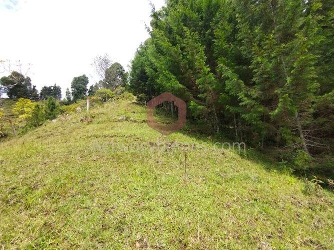 Lote en venta en La Clara, Guarne, 5000 m² · foto 9 de 24