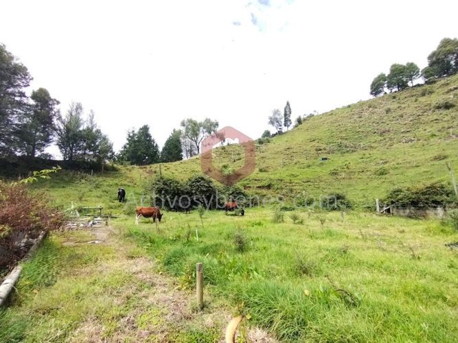 Lote en venta en La Clara, Guarne, 5000 m² · foto 10 de 24