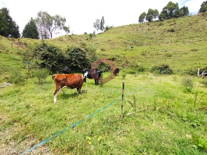 Lote en venta en La Clara, Guarne, 5000 m² · foto 11 de 24