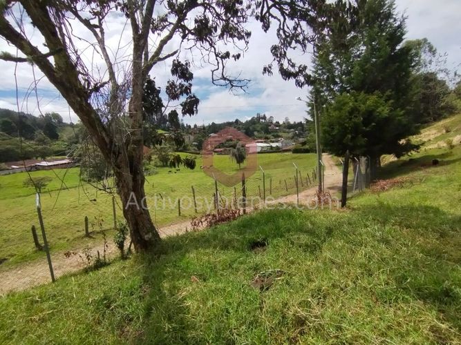 Lote en venta en La Clara, Guarne, 5000 m² · foto 13 de 24