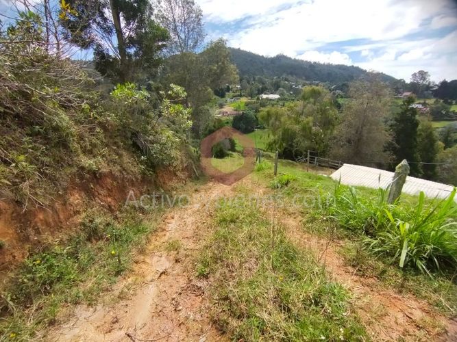 Lote en venta en La Clara, Guarne, 5000 m² · foto 15 de 24