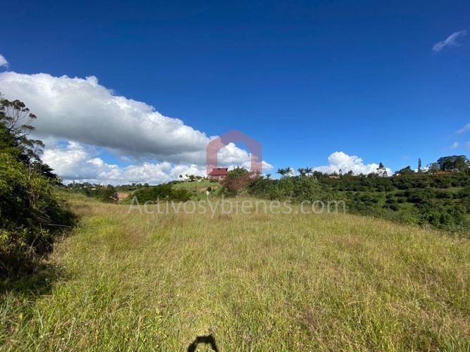 Lote en venta en La Industrial, Marinilla, 8842 m² · foto 5 de 15